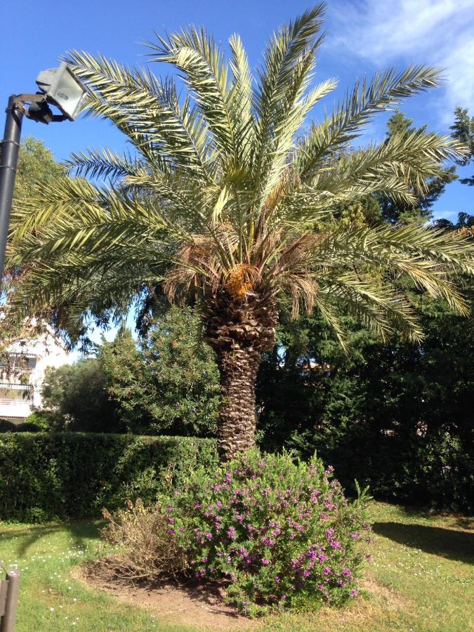 Apartment Eden Saint Tropez Exterior photo